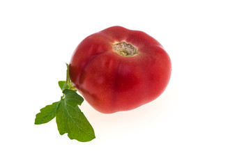 Tomato isolated on white background
