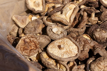 Dried mushrooms of Japanese common ingredients