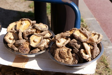 Dried mushrooms of Japanese common ingredients