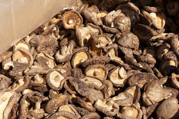 Dried mushrooms of Japanese common ingredients