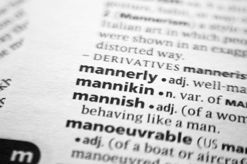 Fototapeta premium Word or phrase Mannikin in a dictionary.