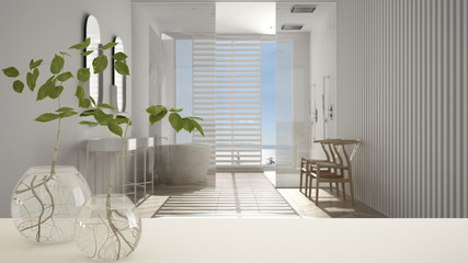 White table top or shelf with glass vase with hydroponic plant, ornament, root of plant in water, branch in vase, house plant, bathroom with bathtub in the background, interior design