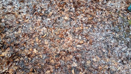 urban textured and grunge backgrounds
