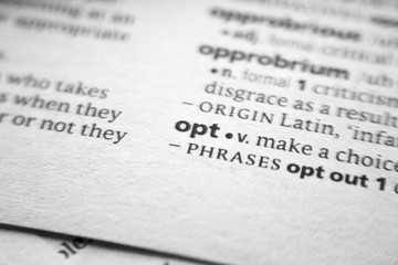 Fototapeta premium Word or phrase Opt in a dictionary.