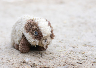 torn plush toy in the sand
