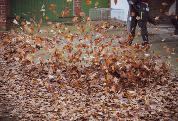 Herbstzeit - Laubzeit - Laubgebläse im Einsatz