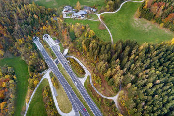 Top dawn aerial view of freeway speed road going out from undeground tunnel between yellow autumn forest trees in rural area.