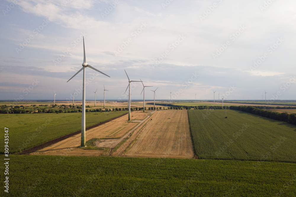 Wall mural aerial view of wind turbine generators in field producing clean ecological electricity.