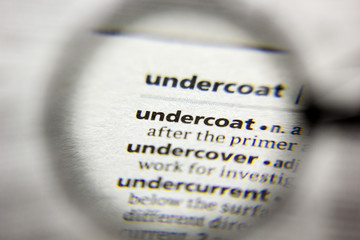 The word or phrase Undercoat in a dictionary.