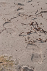 Fototapeta na wymiar Dejando huella en la playa, sin parar de caminar entre arena y posidonia