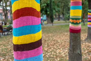 Fototapeta na wymiar Trees wearing colorful knitted scarves in autumn park. Care about nature and environment concept.