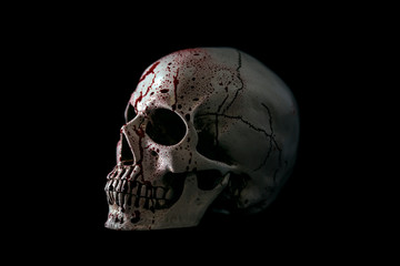 Human skull in blood isolated on black background with clipping path