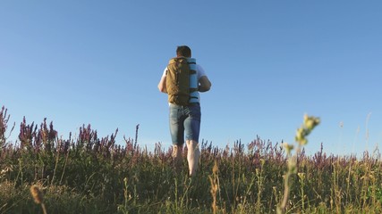 Young male traveler goes uphill in a field with beautiful flowers. Travel and adventure concept. tourist travels in nature, with a backpack climbs a hill. healthy lifestyle concept