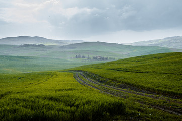 rainy day in tuscany - Italy