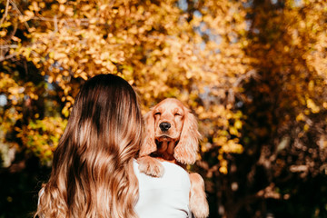 young woman and her cute puppy cocker spaniel dog outdoors in a park. Sunny weather, yellow leaves background