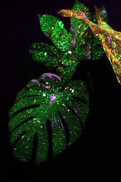 Monstera glowing in the darkness