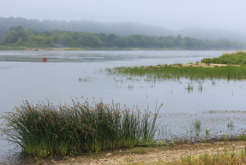 The summer morning landscape at the river.