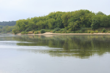 The summer morning landscape at the river.