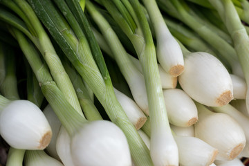 Green onions (scallions) for sale at a market
