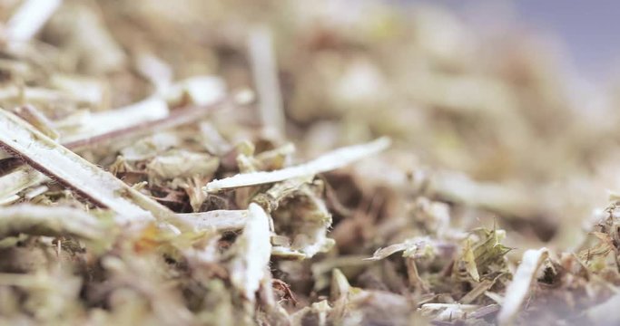 Motherwort grass in bulk
