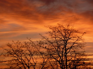 Obraz premium Glowing sun set in Hamburg Germany