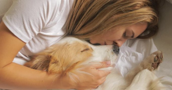 view from above of very tender PORTRAIT of a young woman girl lying in bed and kiss red dog Border Collie and hugging. white sheets. morning light.