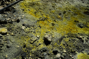 White Island Whakaari in New Zealand Tourism