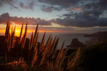 Piha beach in the sunset sun view from the cliff