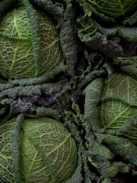 Heads of savoy cabbage
