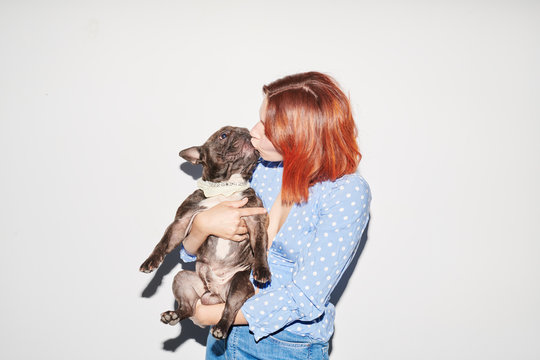 Portrait of black bulldog and its owner