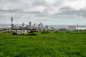 Obraz premium Wooden bench view of Auckland