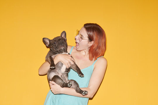 Portrait of black bulldog and its owner