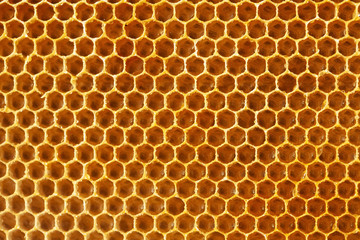 Background of honeycombs structure