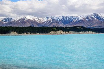 Pukaki Lake, Trees and snow