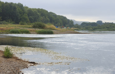 The summer morning landscape at the river.