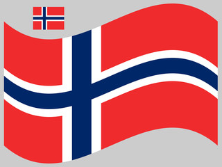 Wave Norway Flag Vector illustration Eps 10