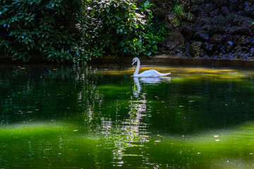 palace and gardens of busaco, coimbra - portugal