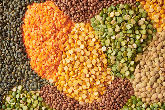 Lentils and Split Peas
