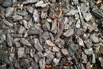 Wood chips closeup on the ground. wood chips texture