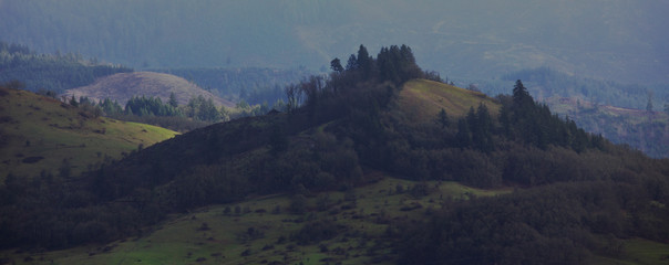 tree lined butte with meadows