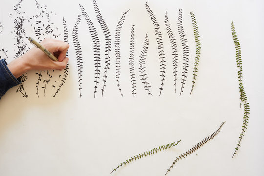 Artist drawing leaves patterns on paper