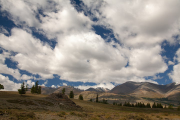 mongolian valley steppe trees and mountains