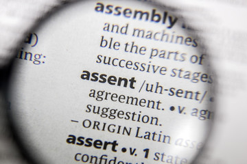 The word or phrase assent in a dictionary.