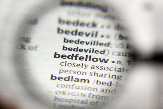 The word or phrase Bedfellow in a dictionary.