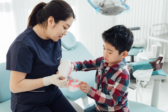 Female dentist showing kids teeth model in clinic