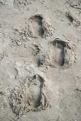 The most endless sand footprint