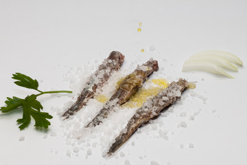 Traditional Dalmatian salted sardines,  Croatia