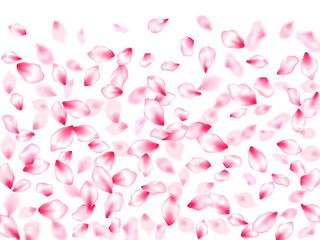 Japanese cherry blossom pink flying petals