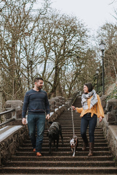 Couple Walking Down Stairs with Dogs