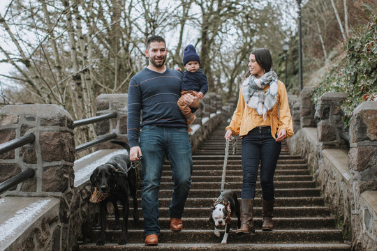 Family Walking Down Staircase with Dogs